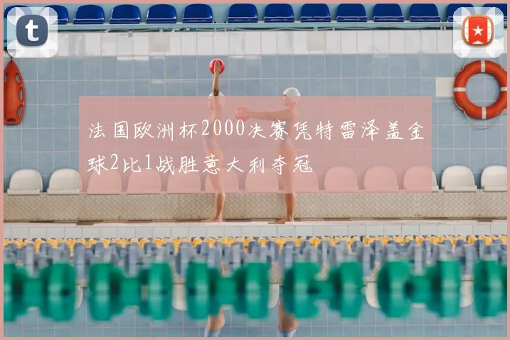 法国欧洲杯2000决赛凭特雷泽盖金球2比1战胜意大利夺冠