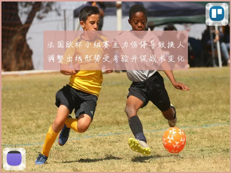 法国欧杯小组赛主力伤停导致换人调整出线形势受考验并促战术变化