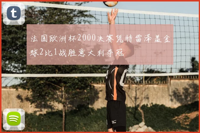 法国欧洲杯2000决赛凭特雷泽盖金球2比1战胜意大利夺冠