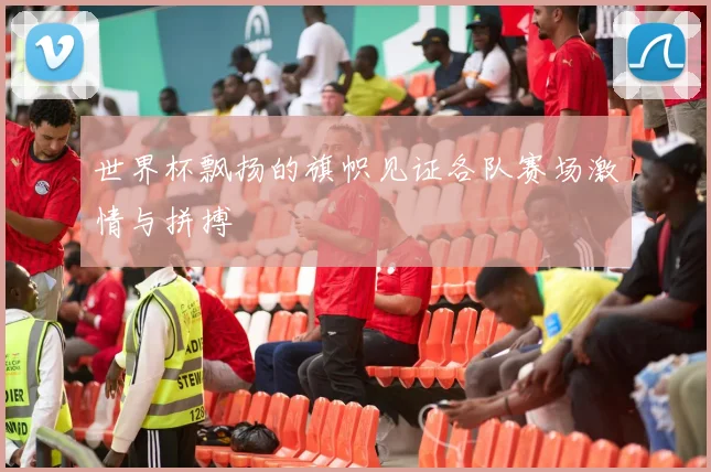 世界杯飘扬的旗帜见证各队赛场激情与拼搏
