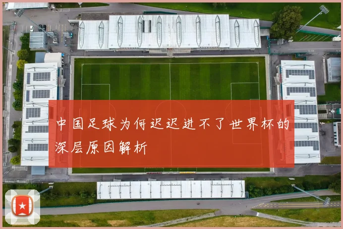 中国足球为何迟迟进不了世界杯的深层原因解析
