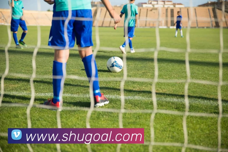 熊猫体育中国官方网站平台生态图